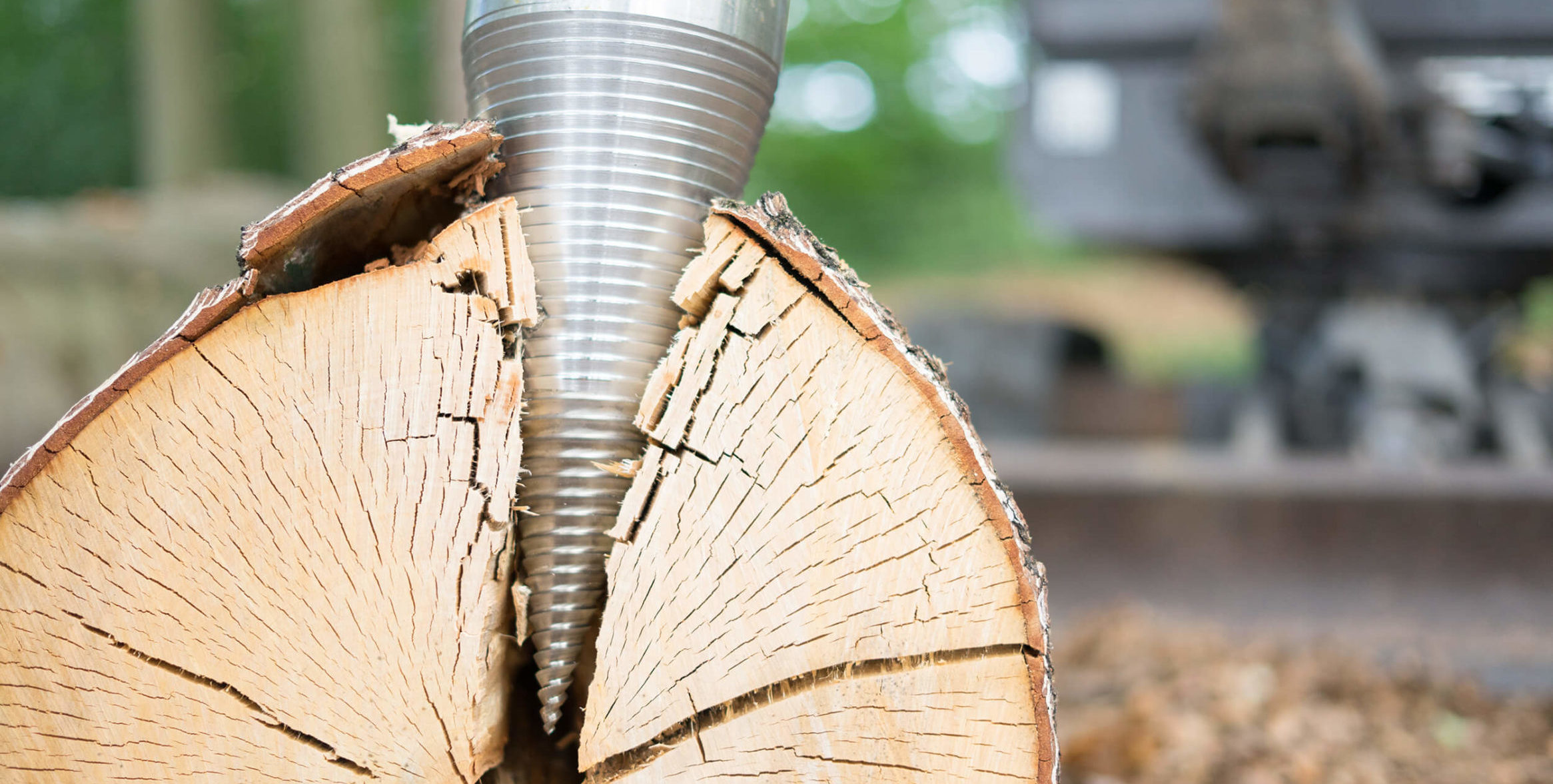 Nahaufnahme eines Baumstammes der gespalten wird.